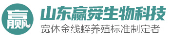 ys_01 美彩国际