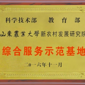 资质荣誉