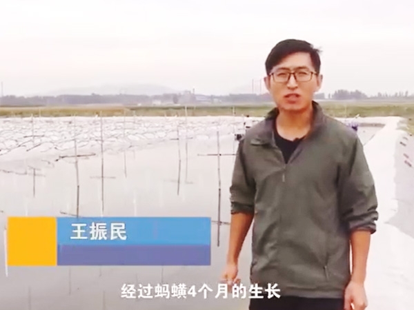 美彩国际收成流程